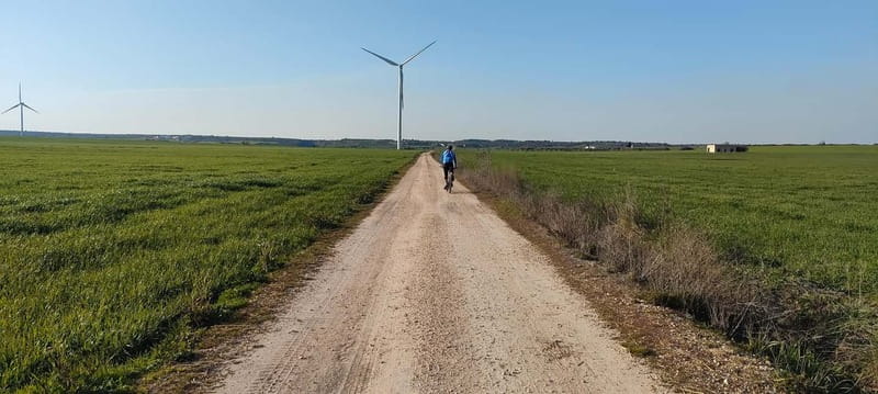 Matera: Easy E-Bike Ride to the Sassi Viewpoint - Who will enjoy this e-bike ride most
