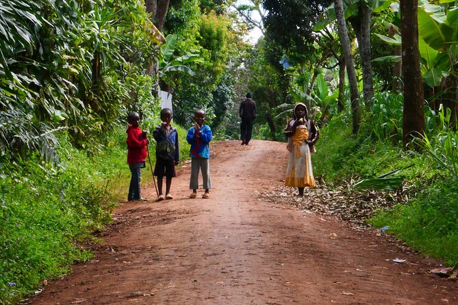 Materuni Waterfall E-Bike Day Trip - The e-bike climb through Chagga farmland