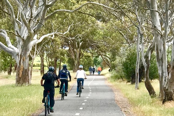 McLaren Vale Shiraz Trail Cycling Tour from Adelaide - What the guides add to the ride