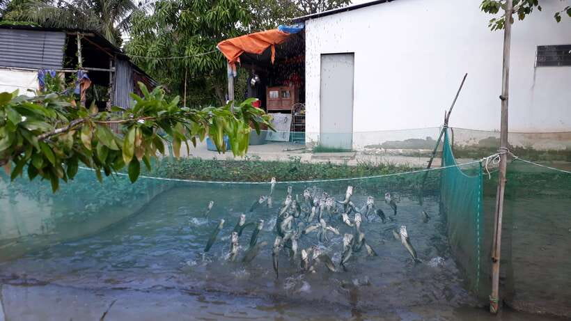 Mekong Day Tour by Car:Cai Be market, Local Island & Cycling - Is $125 a fair price?