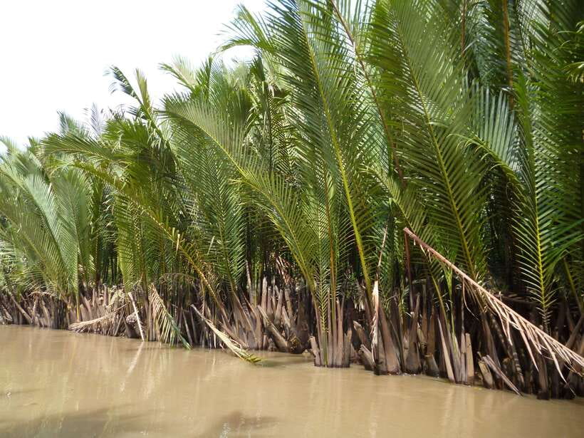 Mekong Day Tour by Car:Cai Be market, Local Island & Cycling - Walking or cycling through the village after lunch