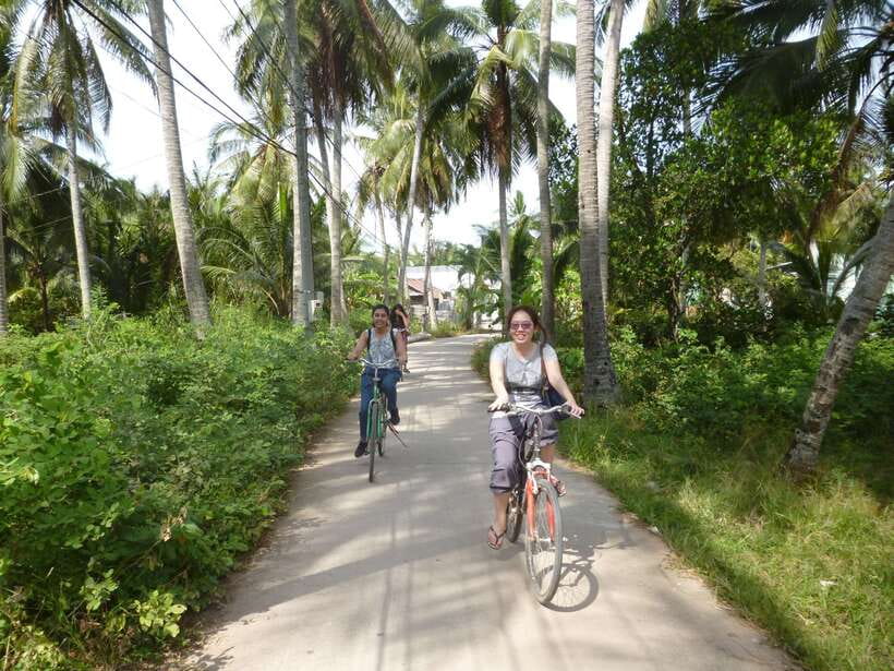 Mekong Day Tour by Car:Cai Be market, Local Island & Cycling - What the private guide adds
