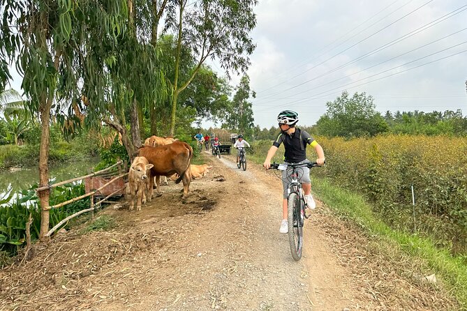 Mekong Delta 2 days 1 nights Cycling Trip - The small details that make the trip work