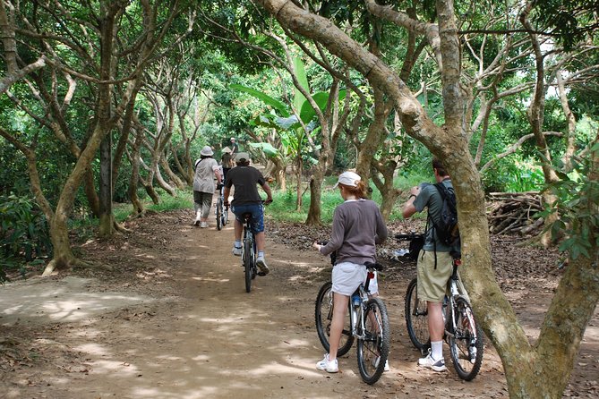 Mekong Delta Cycling Trip Including Cai Be - Brick kilns, coconut candy, and working village life