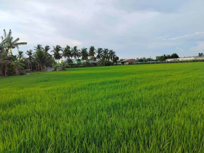 Mekong Delta Day Trip: Explore Cycling & Cook Classes Farm - Family Tiny Garden and the first bicycle ride