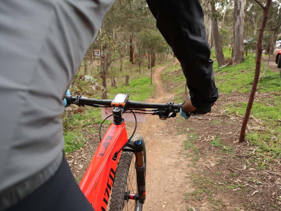 Melbourne: 1-Day Mountain Biking Adventure with Lunch - From Melbourne streets to Wombat State Forest