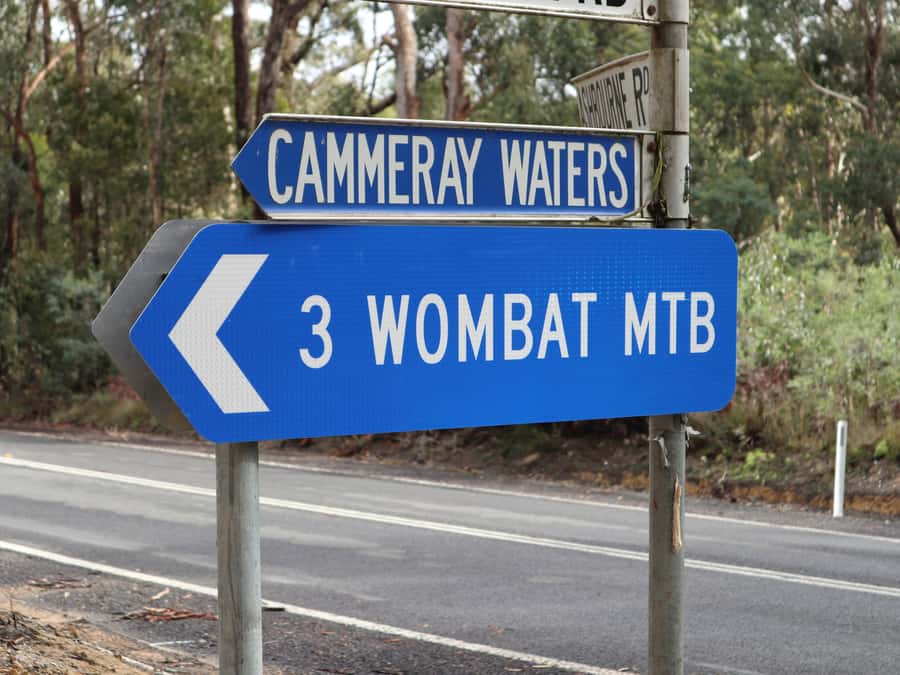 Melbourne: 1-Day Mountain Biking Adventure with Lunch - A small group keeps the day practical