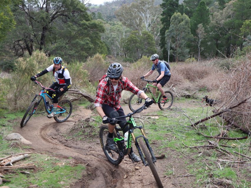 Melbourne: 1-Day Mountain Biking Adventure with Lunch - Is $279 a fair price?