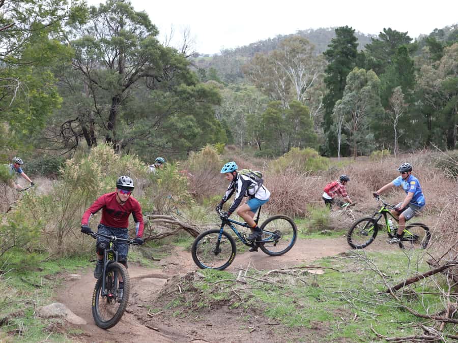 Melbourne: 1-Day Mountain Biking Adventure with Lunch - FAQ