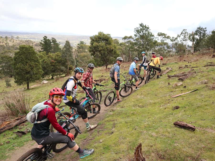 Melbourne: 1-Day Mountain Biking Adventure with Lunch - Holgate Brewhouse gives the day a proper lunch stop
