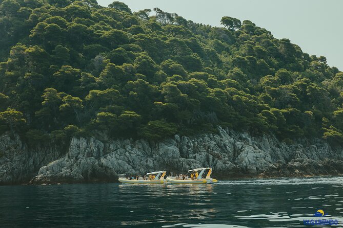 Mljet National Park trip - Pure Nature & Island Escape - Why Mljet makes a worthwhile day from Dubrovnik