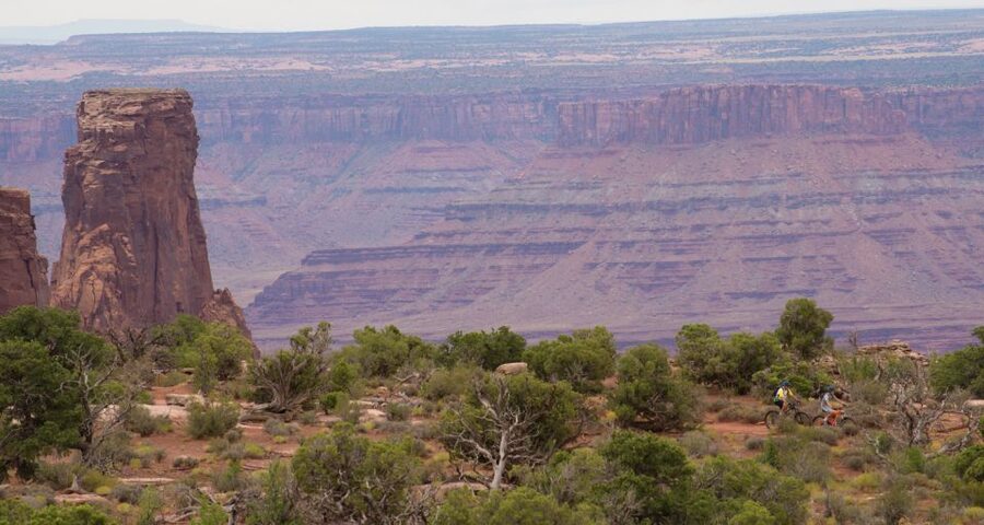 Moab: Dead Horse Point Singletrack Mountain Biking Tour - Key points to know before booking