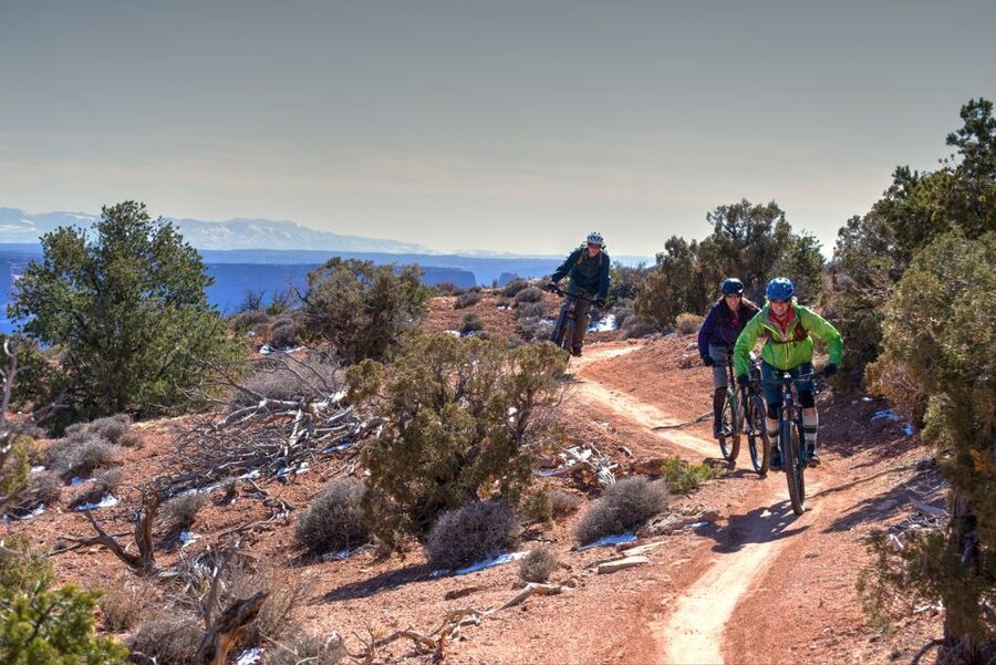Moab: Dead Horse Point Singletrack Mountain Biking Tour - What the scenery is like from the saddle