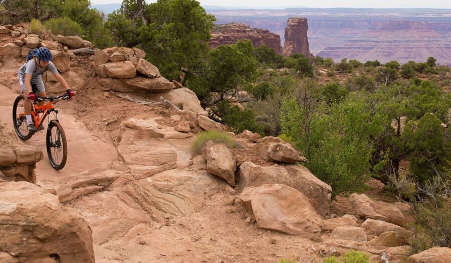 Moab: Dead Horse Point Singletrack Mountain Biking Tour - Who should book this ride