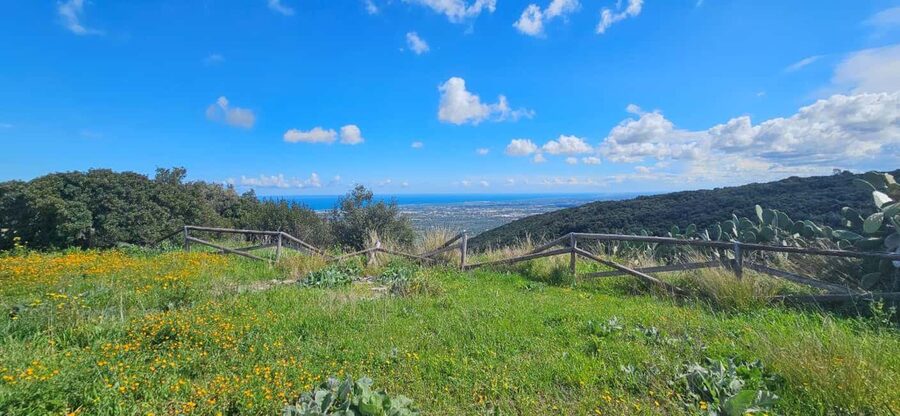 Monopoli: Ancient Olive Groves & Coastal E-Bike Ride - Starting at Via Procaccia or Gummy Park