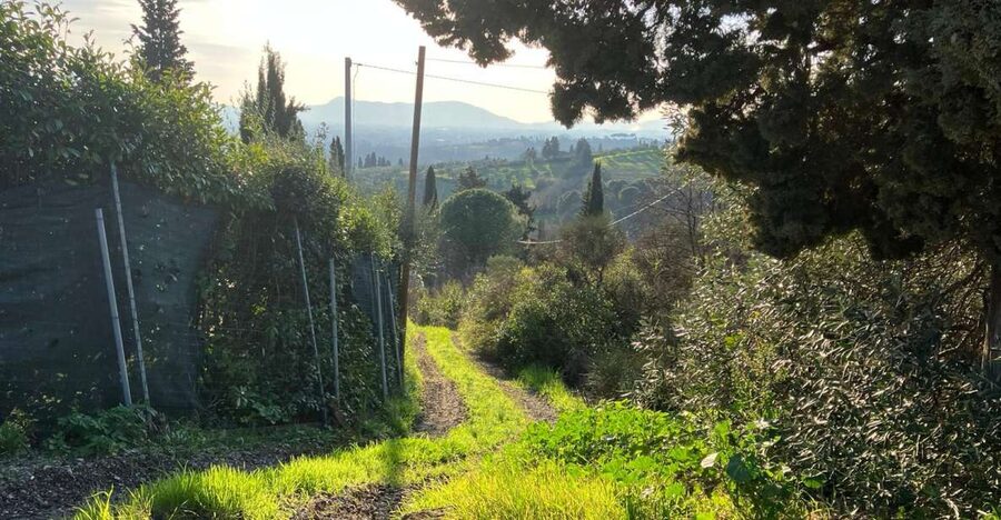 MONTECATINI TERME - E-BIKE ADVENTURE IN VAL DI NIEVOLE - The best reasons to choose this ride