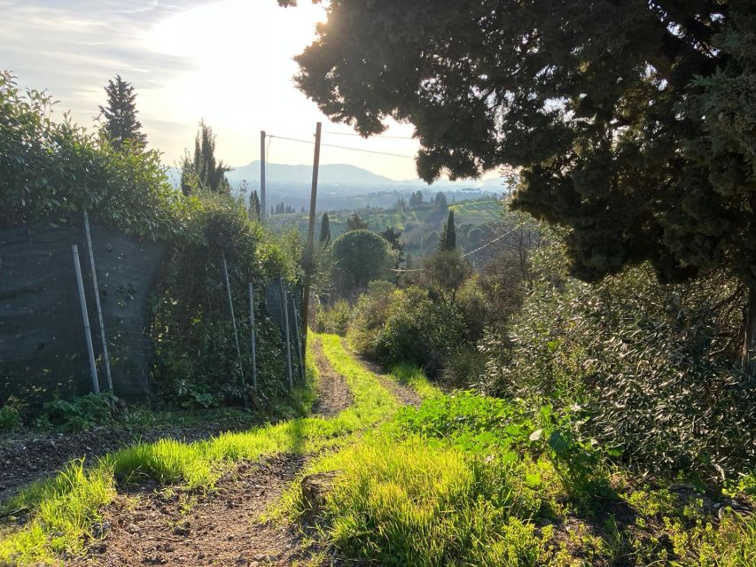 MONTECATINI TERME - E-BIKE ADVENTURE IN VAL DI NIEVOLE - Why the Fucecchio Marshes are worth seeing