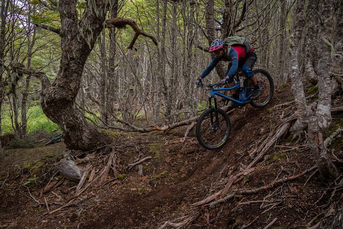 Mountain Bike Adventure in Punta Arenas - Key points at a glance