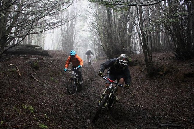 Mountain Bike Adventure in Punta Arenas - Who should book this ride