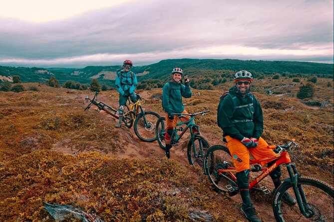 Mountain Bike Adventure in Punta Arenas - Magallanes National Reserve, three hours among lenga and coigue