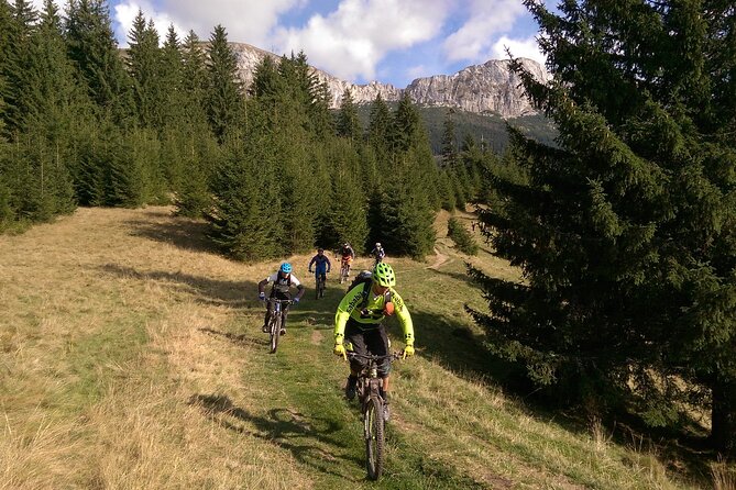 Mountain Bike Day Tour around Brasov - Why an evening ride may be the best choice