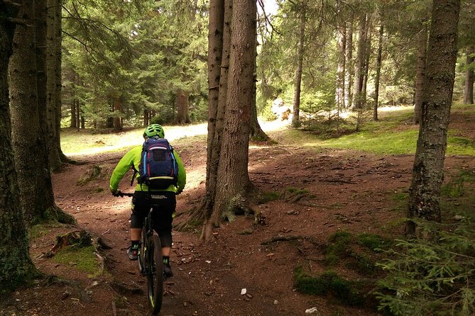 Mountain Bike Day Tour around Brasov - Who should book this ride
