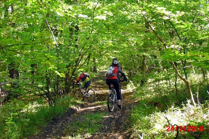 Mountain Bike Day Tour around Brasov - Forest roads, mountain air, and a downhill route