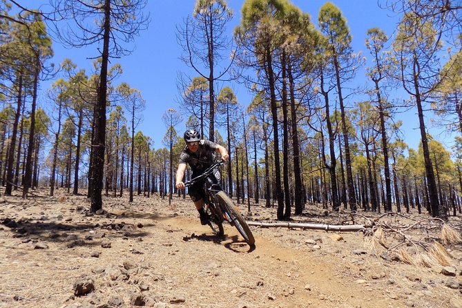 Mountain bike excursions - Riding above the coast at 1,950 meters