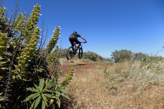 Mountain bike excursions - The bicycle issue needs attention