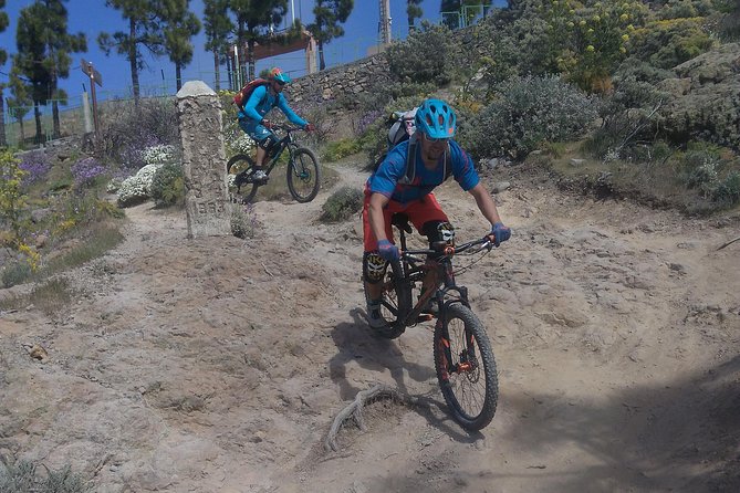 Mountain bike excursions - Transport, snacks, and the shape of the day