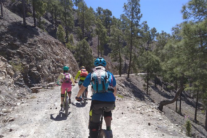 Mountain bike excursions - Booking timing and cancellation details