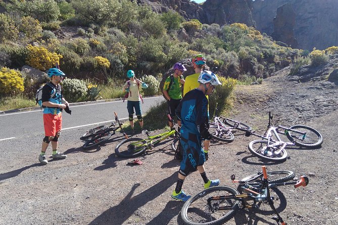 Mountain bike excursions - Who should book this mountain ride?