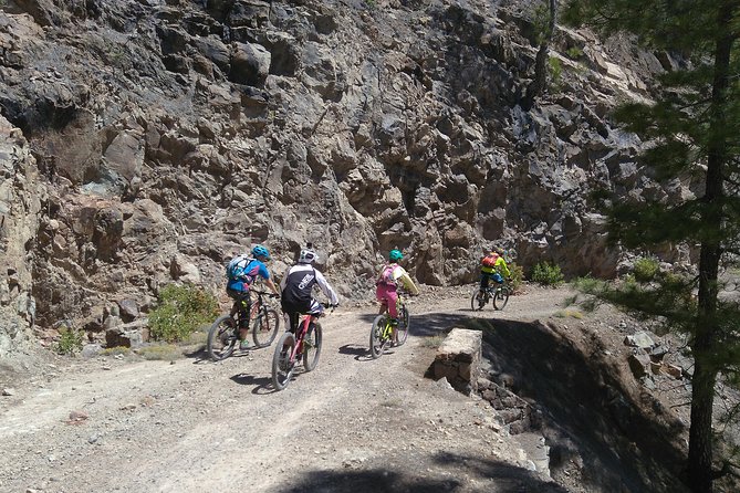 Mountain bike excursions - Should you book it?