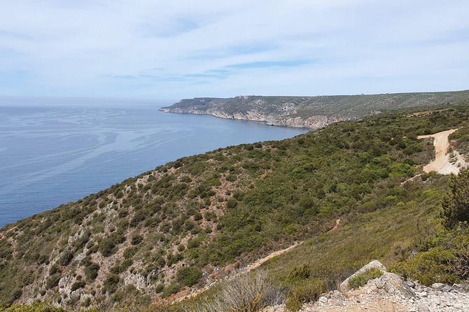 Mountain Bike Rental - What you can expect on the ride
