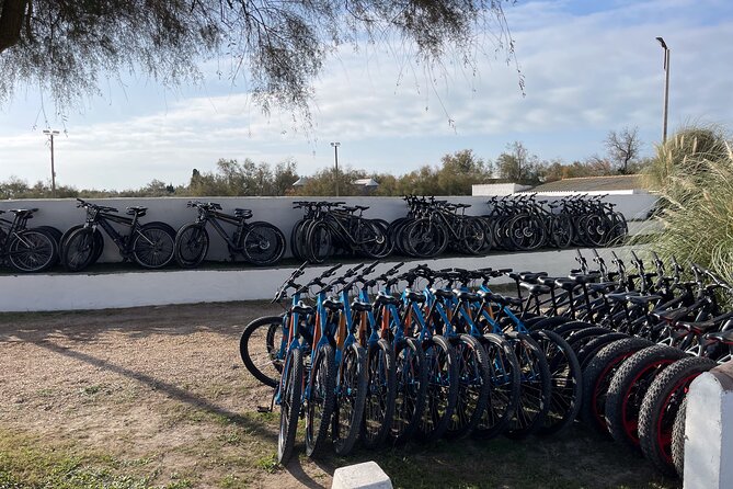 Mountain bike rental in Camargue - What you may see along the way