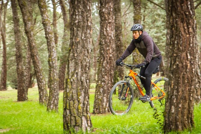 Mountain bike RENTAL one day (24 hours) all extras included. - Setting your own route toward Casa de Campo