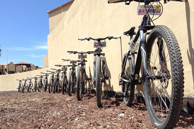 Mountain Bike Rental Tenerife - Delivery to Costa Adeje, Las Americas, and Los Cristianos