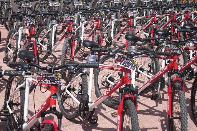 Mountain Bike Rental Tenerife - What the support service adds