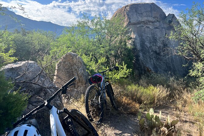 Mountain Bike Rentals - Trailhead delivery is the real advantage