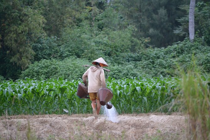 Mountain Bike Riding from Hoi An - Bicycles, helmets, and a route that changes with the group