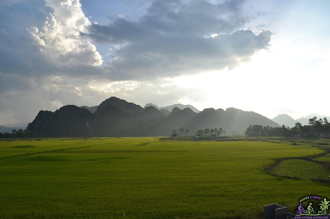 Mountain Bike Riding from Hoi An - Rice fields, village lanes, and everyday Hoi An