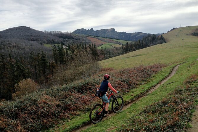 Mountain Bike Small Group Tour in San Sebastian - Key points to know before you book