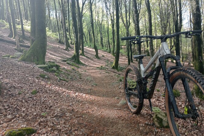 Mountain Bike Small Group Tour in San Sebastian - The value of $106.04 per person