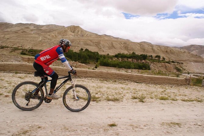 Mountain Bike Tour - Lunch, tea, and the downhill reward