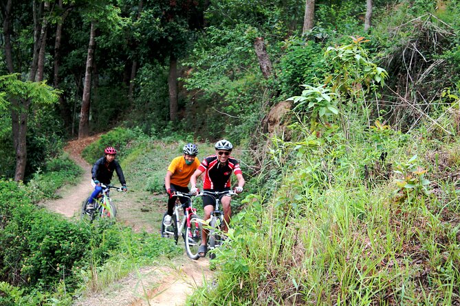 Mountain Bike Tour - Fitness, equipment, and group size