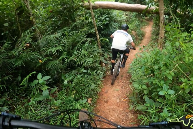 Mountain Bike Tour - Cairns - Key points at a glance