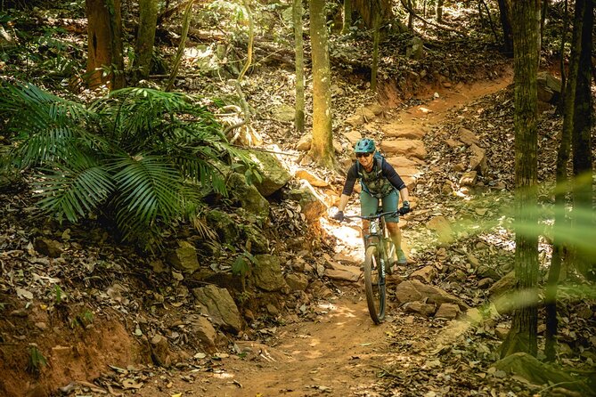 Mountain Bike Tour - Cairns - Smithfield is the reason to book