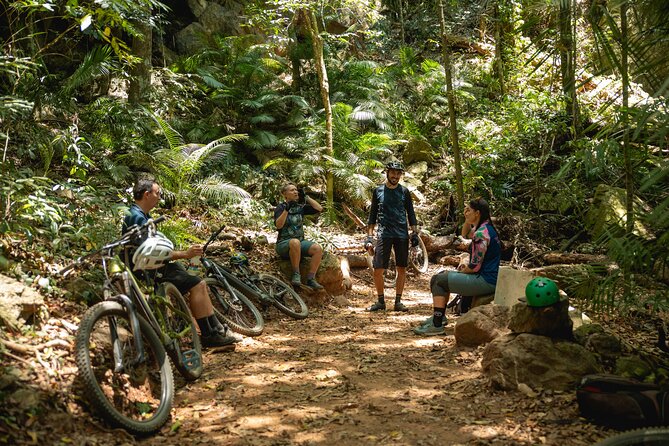 Mountain Bike Tour - Cairns - From Palm Cove to the rainforest