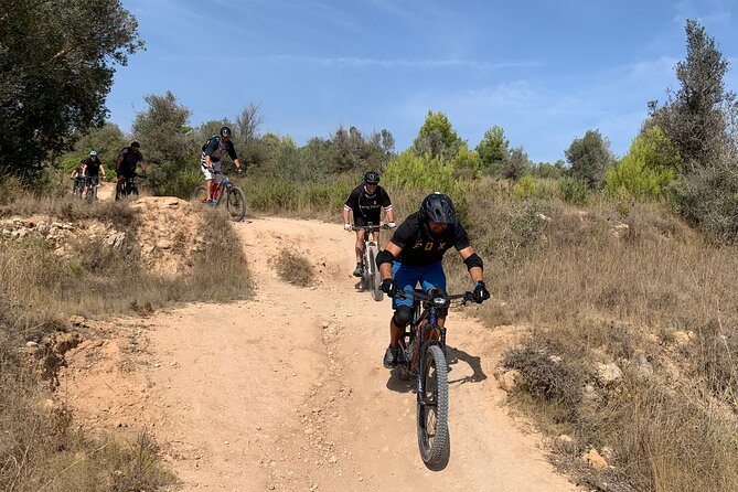 Mountain Bike Tour Font de la Mata - Price, group size, and practical value