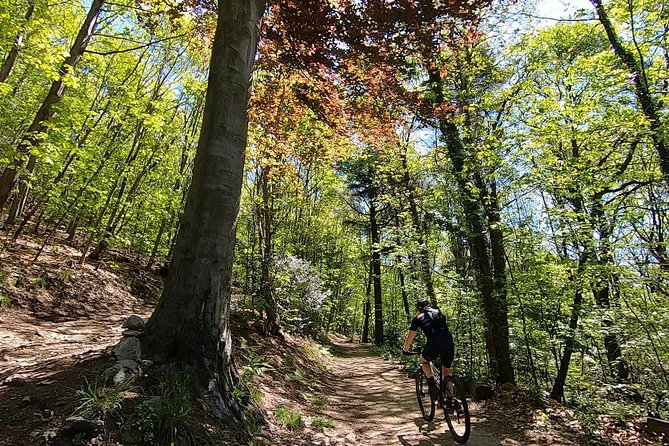 Mountain Bike tour in Spina Verde natural park - Key points to know before booking